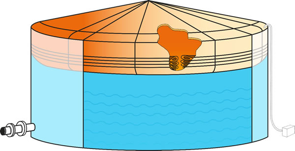 Figure 17 schematic representation of a Cairbag roofjpg