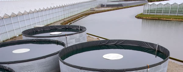 Picture 5 Open top double hull water storage tanks with metal outer shell and inner elastomer foiljpg