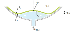 fig4c